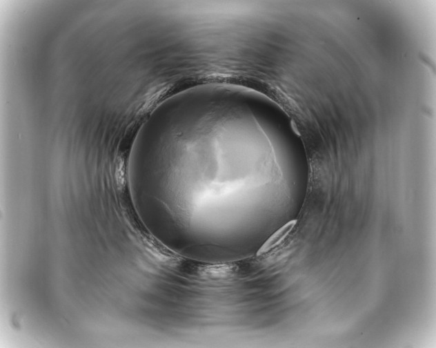 X0000094370479200711021533
