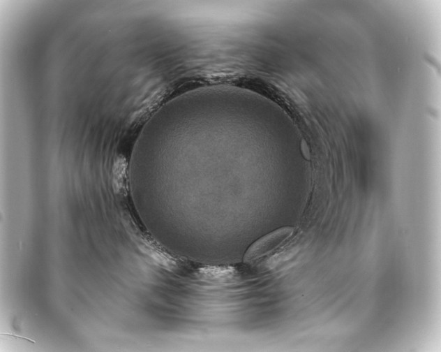 X0000094370480200711021533