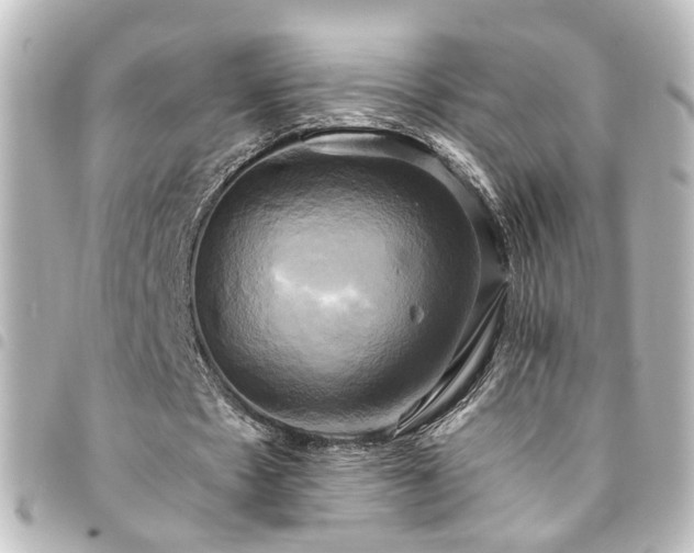X0000094370481200711021533