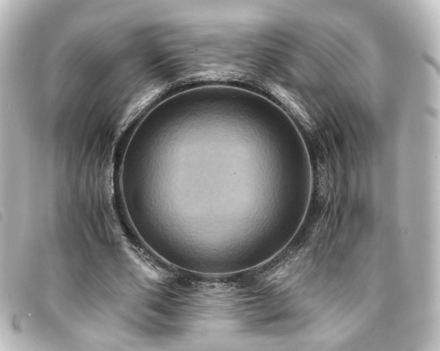 X0000094370486200711021533