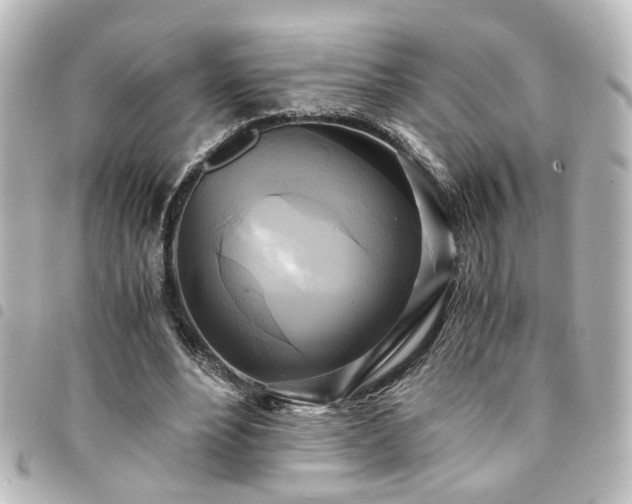 X0000094370488200711021533