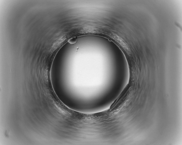 X0000094370489200711021532