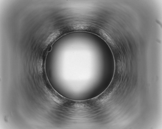 X0000094370490200711021532