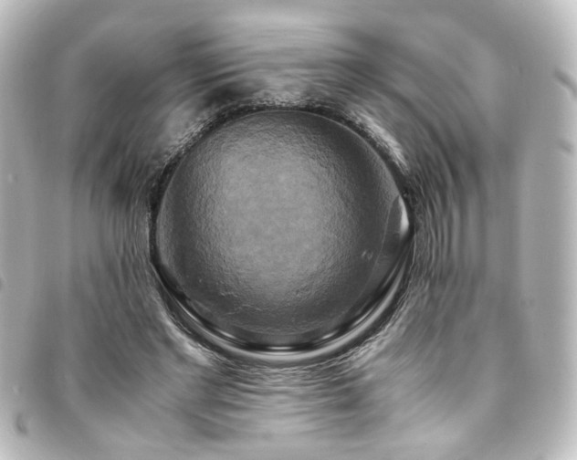 X0000094370493200711021532