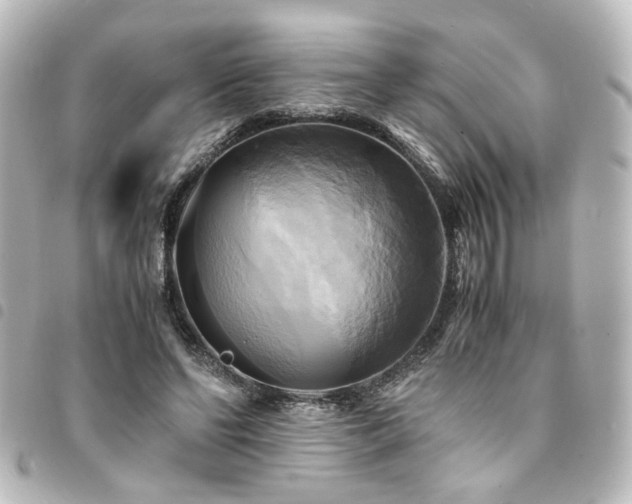 X0000094370494200711021532