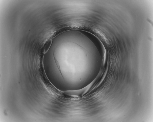 X0000094370496200711021532