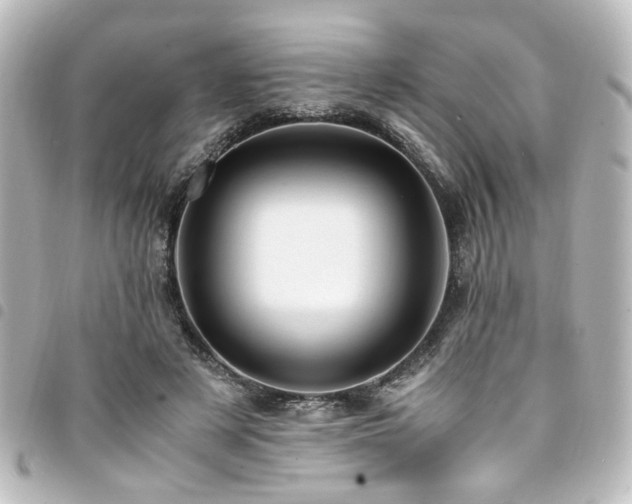 X0000094370497200711021532