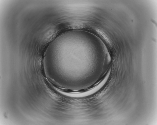 X0000094370501200711021532