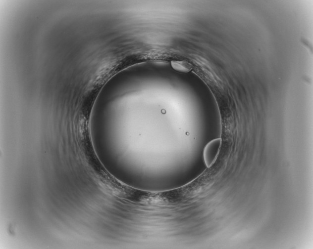 X0000094370503200711021532