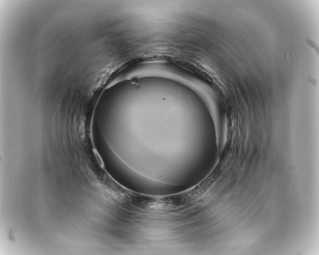 X0000094370504200711021532