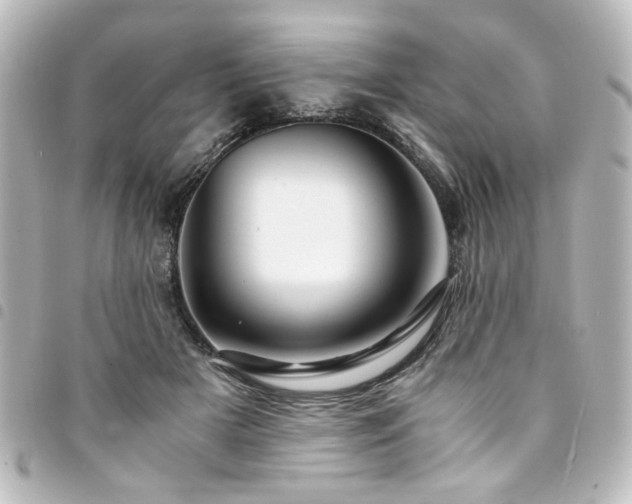 X0000094370505200711021532
