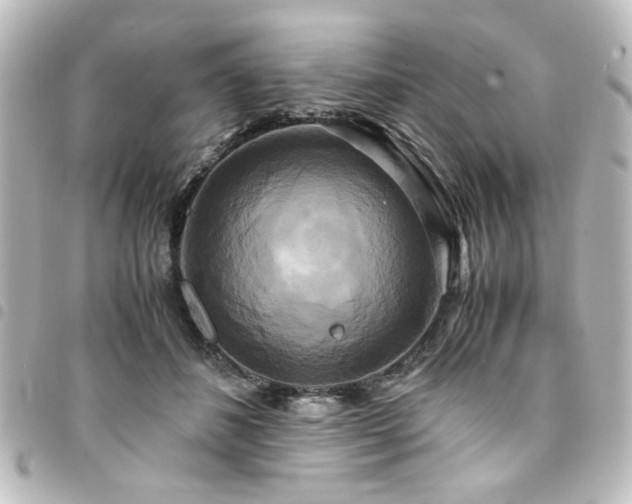 X0000094370508200711021532