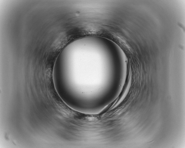 X0000094370509200711021532