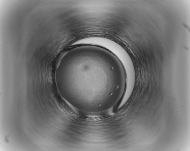 X0000094370512200711021532