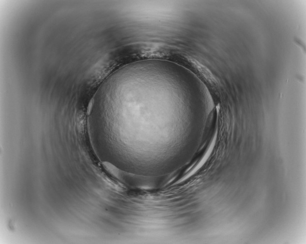 X0000094370513200711021532