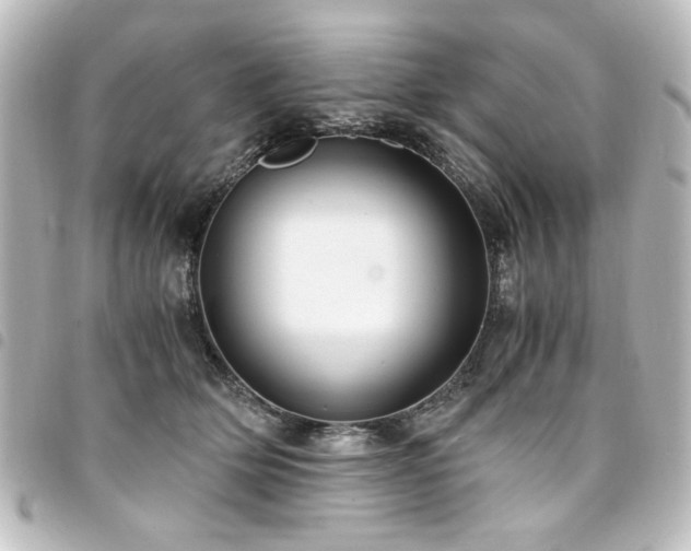 X0000094370514200711021532