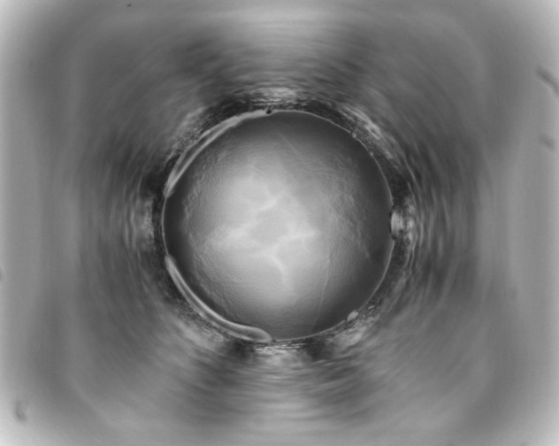 X0000094370516200711021532