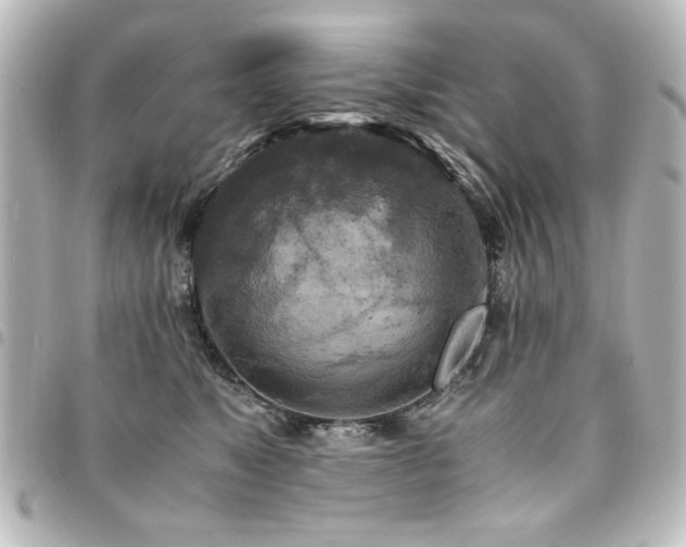 X0000094370517200711021532
