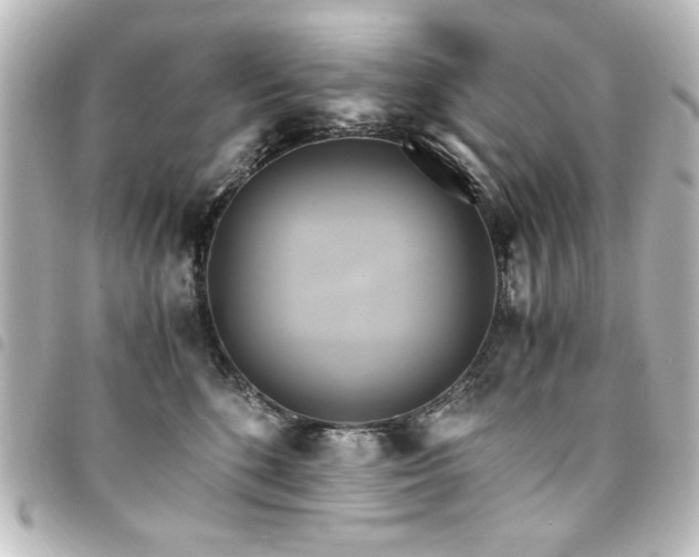 X0000094370520200711021532