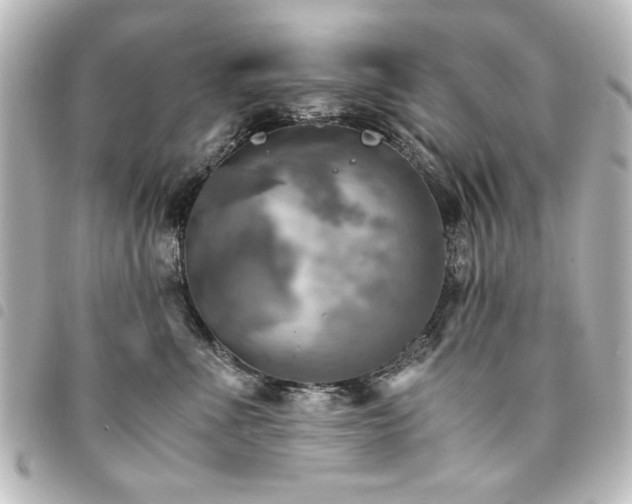 X0000094370523200711021532