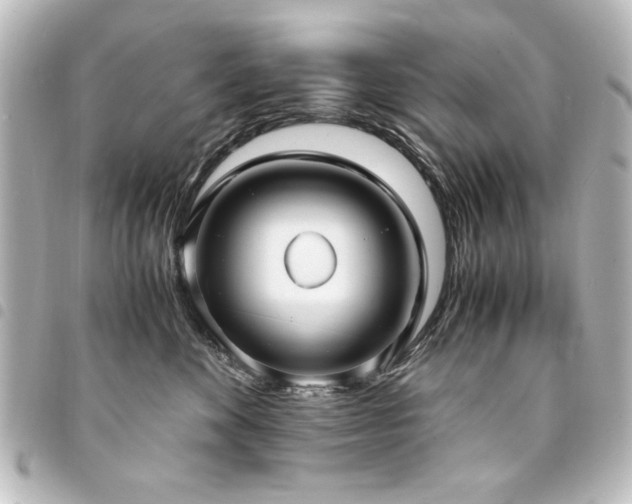 X0000094370524200711021532