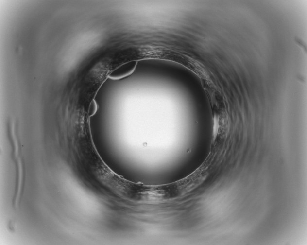 X0000094370525200711021532