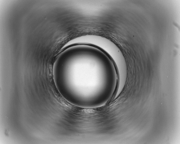 X0000094370528200711021532
