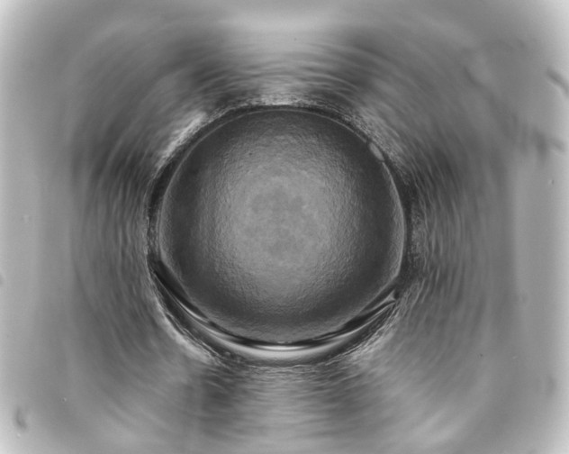 X0000094370530200711021531