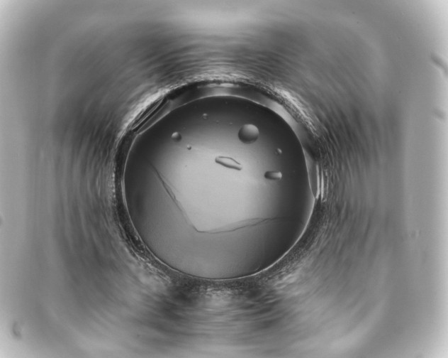 X0000094370531200711021531