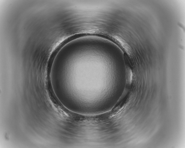 X0000094370532200711021532