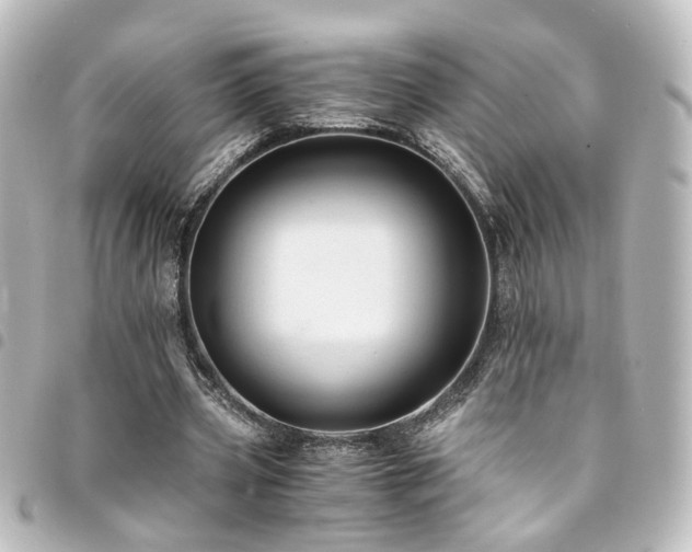 X0000094370533200711021532