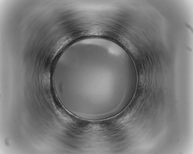 X0000094370534200711021532