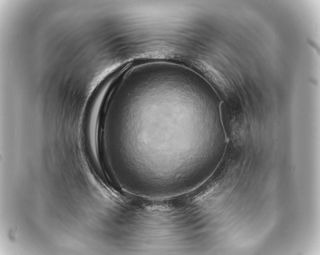 X0000094370536200711021532