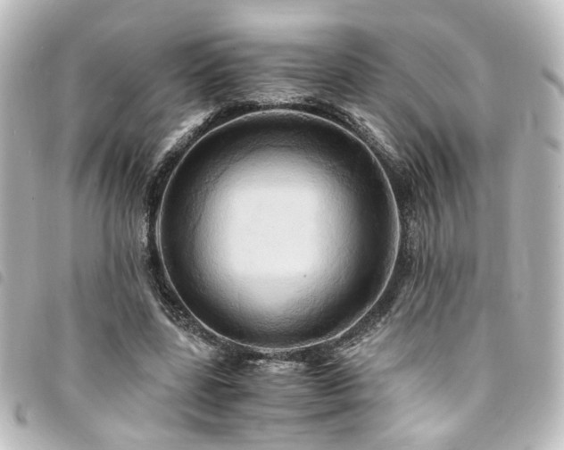 X0000094370539200711021532