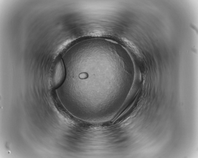 X0000094370540200711021532