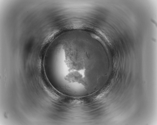 X0000094370542200711021532