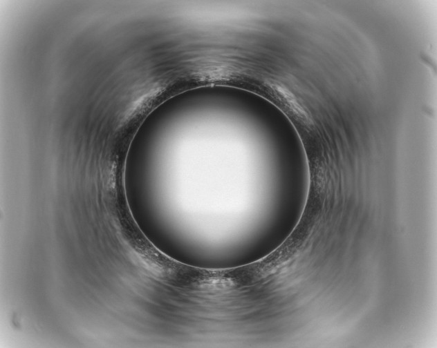X0000094370543200711021532