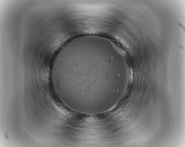 X0000094370544200711021532