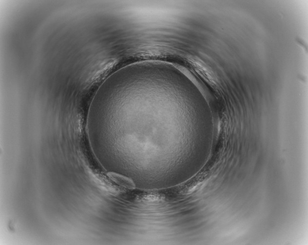 X0000094370546200711021532