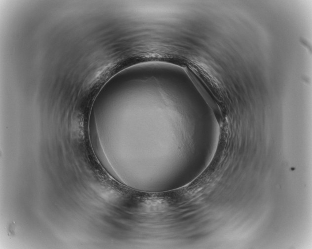 X0000094370547200711021532