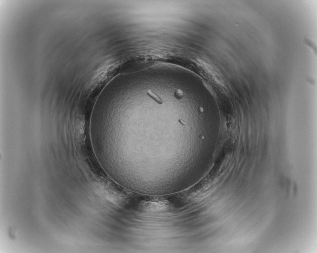 X0000094370548200711021532