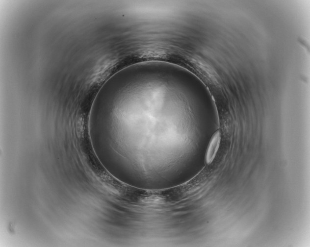 X0000094370551200711021532