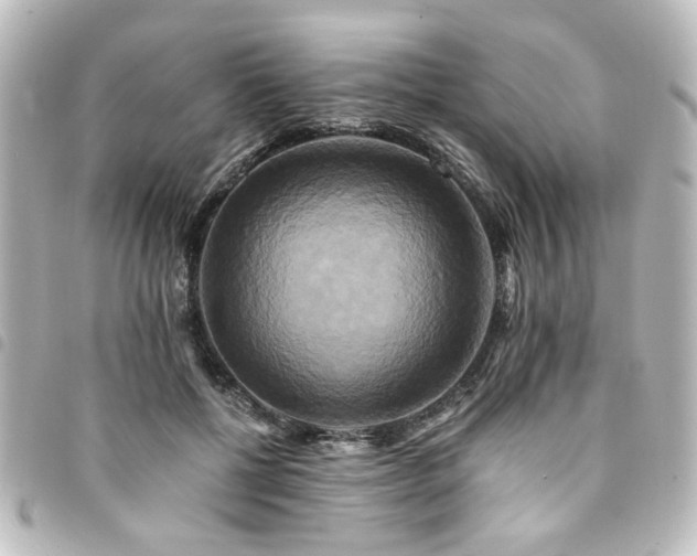 X0000094370552200711021532