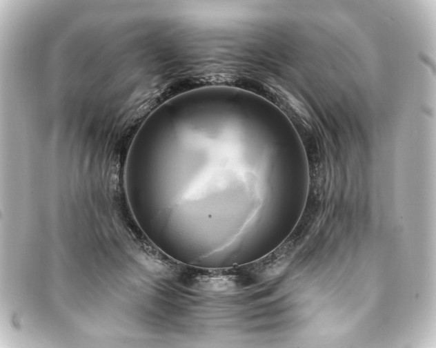 X0000094370553200711021532