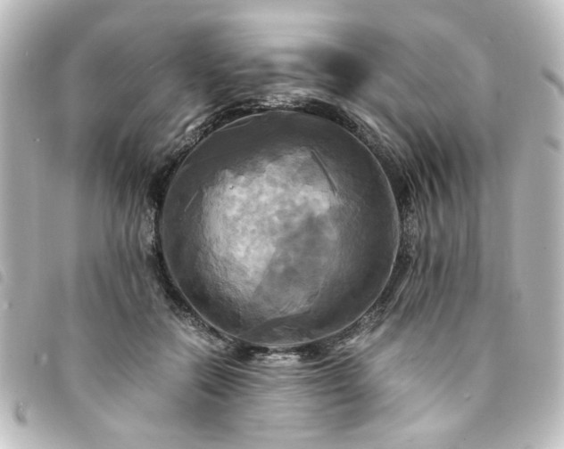 X0000094370554200711021532