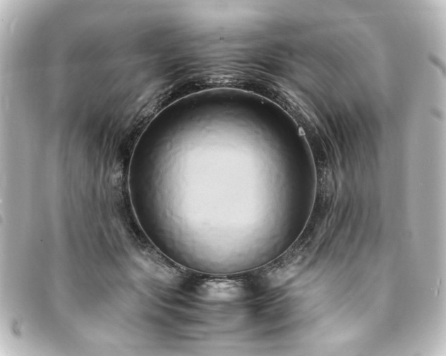 X0000094370557200711021532