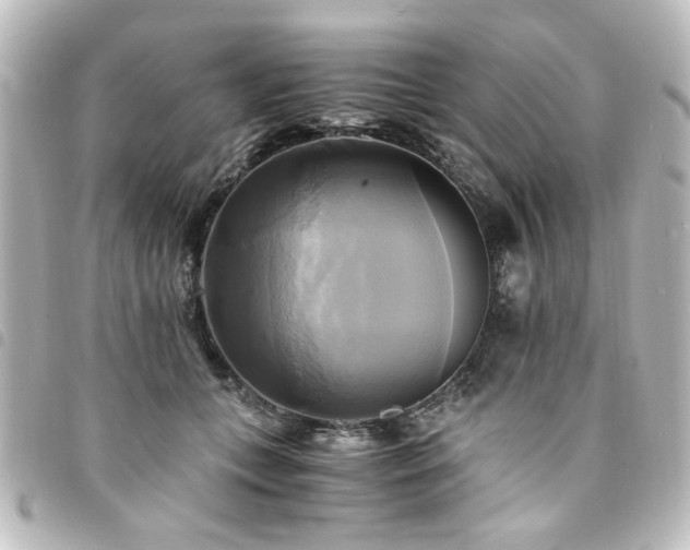 X0000094370559200711021532