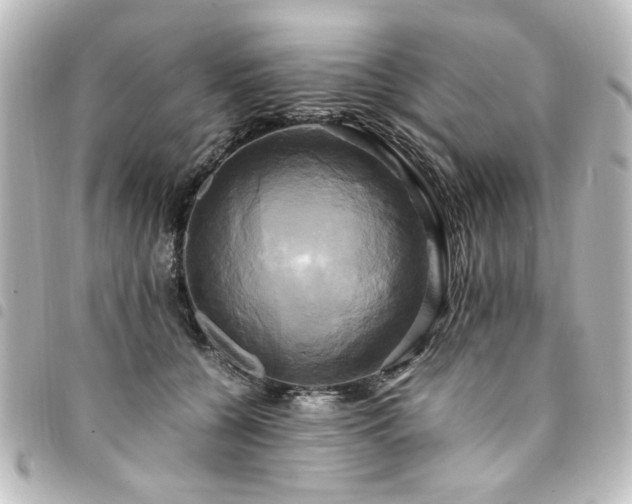 X0000094370560200711021532