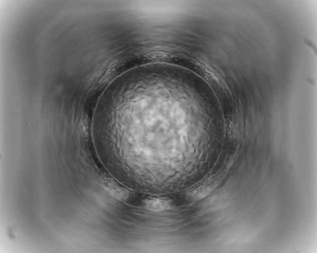 X0000094370561200711021532