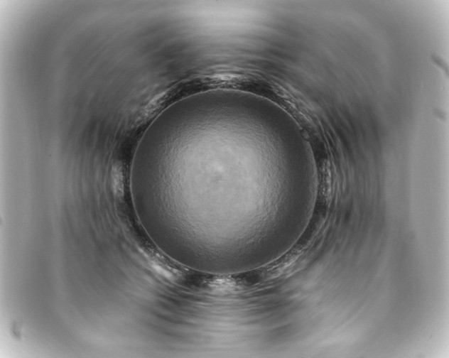 X0000094370562200711021532